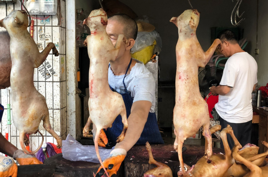 Un étal lors de la Fête de la viande de chien de Yulin en 2018.
