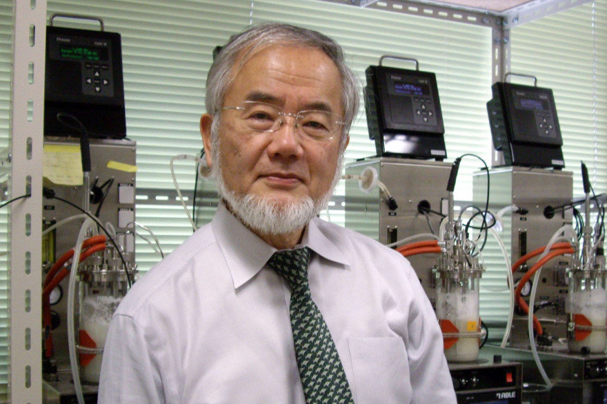 Yoshinori Ohsumi a décroché le prix Nobel de médecine en 2016