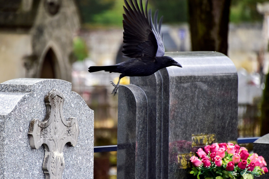 Des tombes dans un cimetière (Illustration).