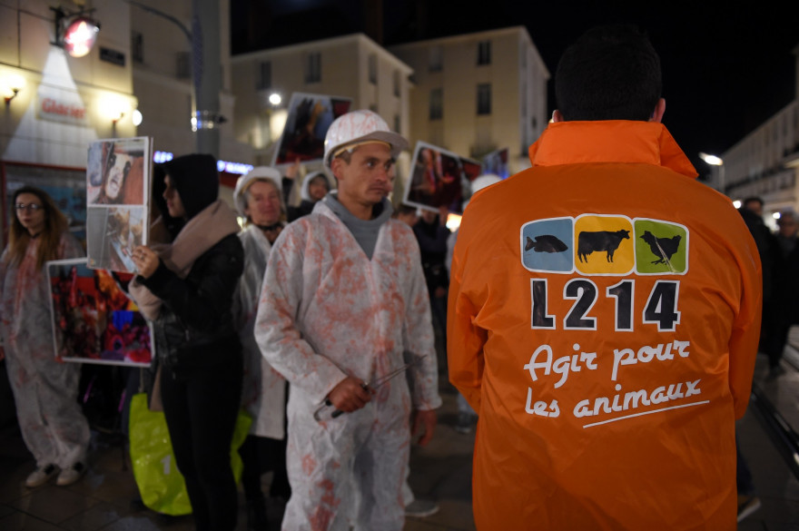 Des militants de l'association L214 à Tours le 31 octobre 2017