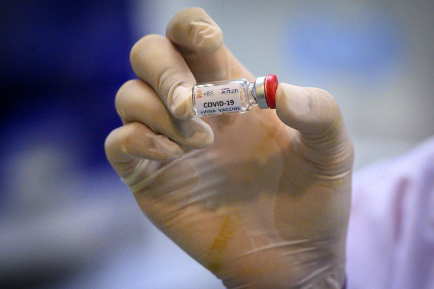 Un prototype de vaccin contre la Covid-19