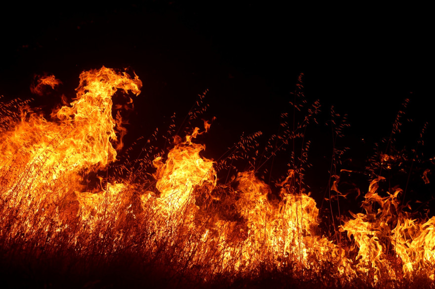 La Californie a été frappée par de violents incendies durant l'été 2020
