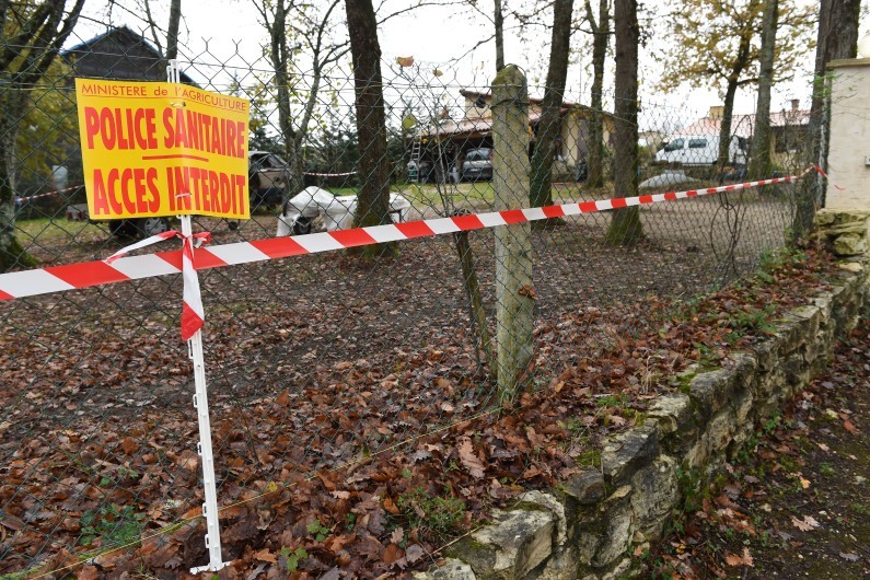 Un élevage fermé à cause de la grippe aviaire (Image d'illustration)