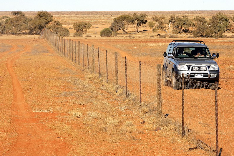 Une voiture sur une route de l'outback australien