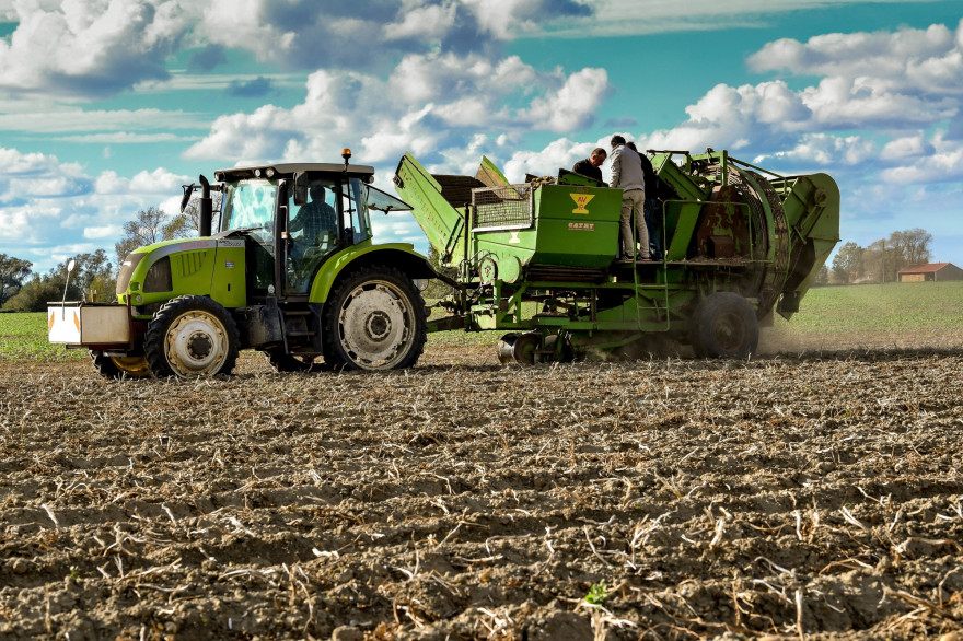 Agriculture (Illustration).
