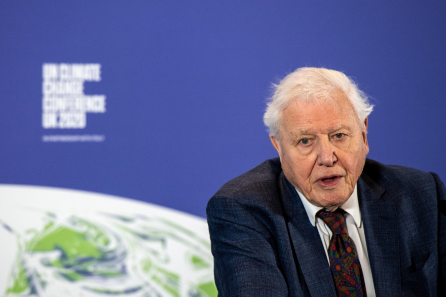 Le naturaliste David Attenborough, en février 2020