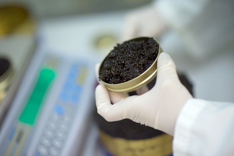 Du caviar (illustration)