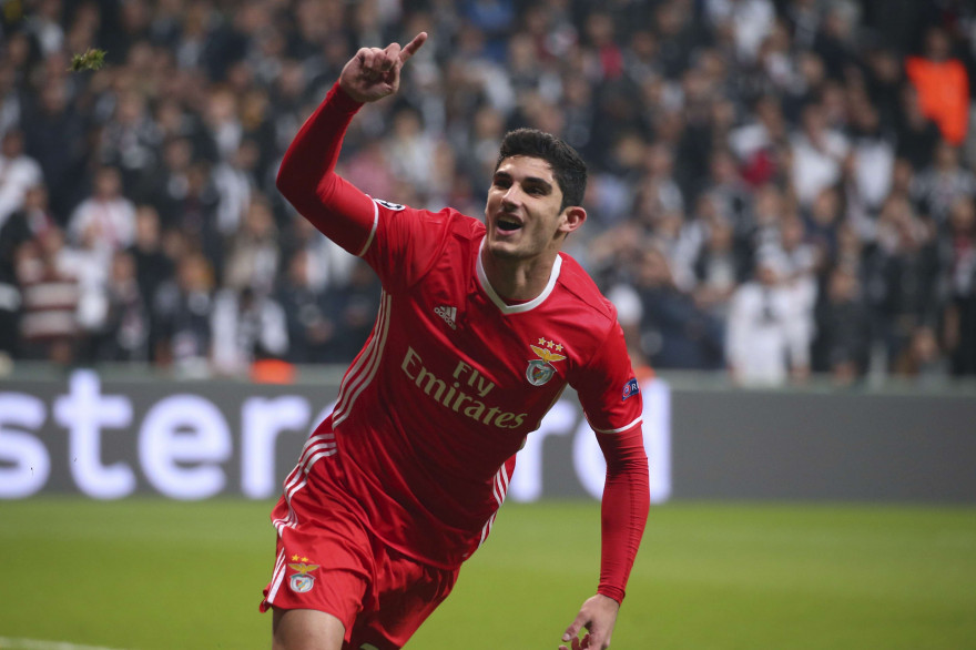 Gonçalo Guedes sous les couleurs de Benfica en novembre 2016
