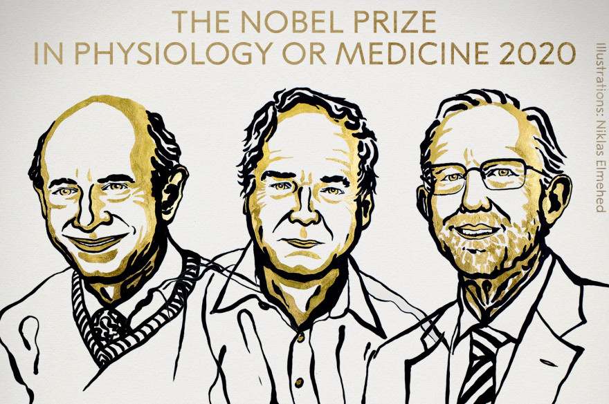 Le prix Nobel de Médecine a été décerné au Britannique Michael Houghton et aux Américains Harvey Alter et Charles Rice
