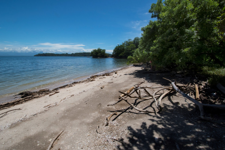 La plage de Isla San Lucas à Puntarenas au Costa Rica (illustration).