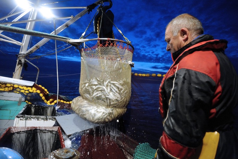 Une conférence se tient aux États-Unis pour tenter de sauver les océans menacés notamment par la surexploitation des réserves de pêche (illustration).