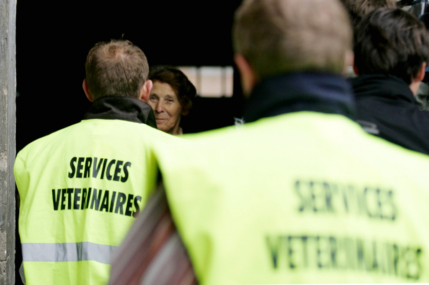 Des membres des services vétérinaires viennent expliqué aux éleveurs comment détecté les cas de grippe aviaire, ici à Assenoncourt en 2007.