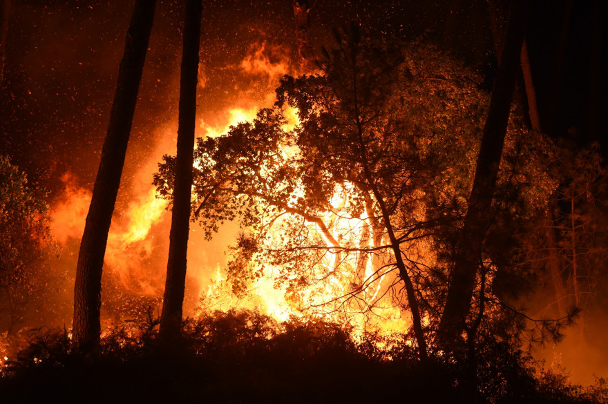 Un incendie en forêt (illustration)