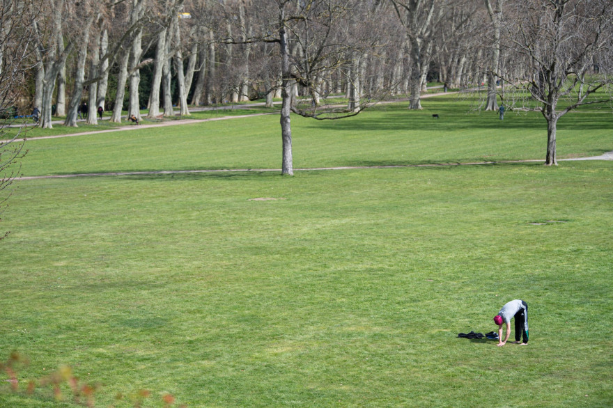 Illustration d'un homme faisant de l'exercice dans un parc de Stuttgart