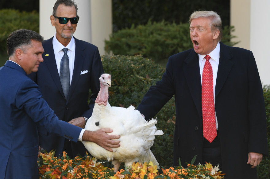 Donald Trump graciant la traditionnelle dinde de Thanksgiving le 26 novembre 2020