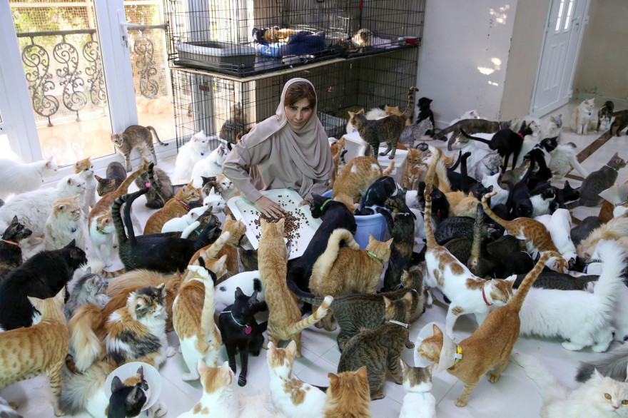 Orpheline depuis son plus jeune âge, cette ancienne fonctionnaire trouve que les chiens et les chats sont plus fidèles que les humains.