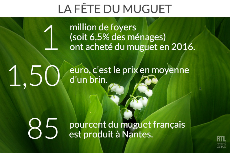 La Fête du travail est l'occasion d'offrir un brin de muguet.