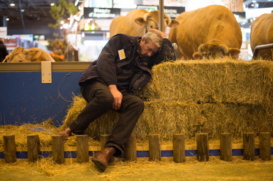 Un agriculteur assoupi sur une botte de foin