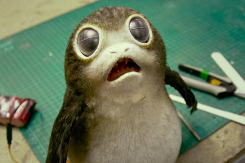 Les Porgs sont les nouvelles créatures de "Star Wars 8"