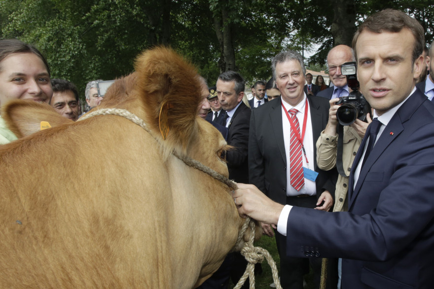 Emmanuel Macron à Verneuil-sur-Vienne, le 9 juin 2017