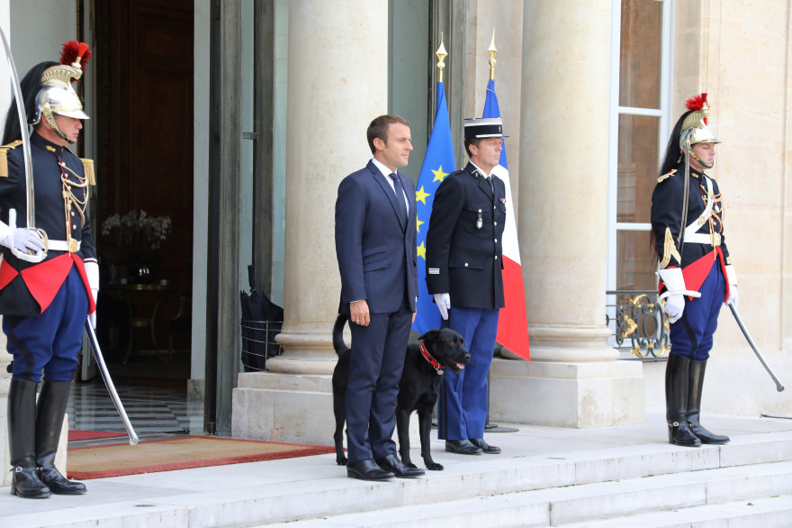 Emmanuel Macron et son labrador Nemo, le 28 août à l'Élysée.