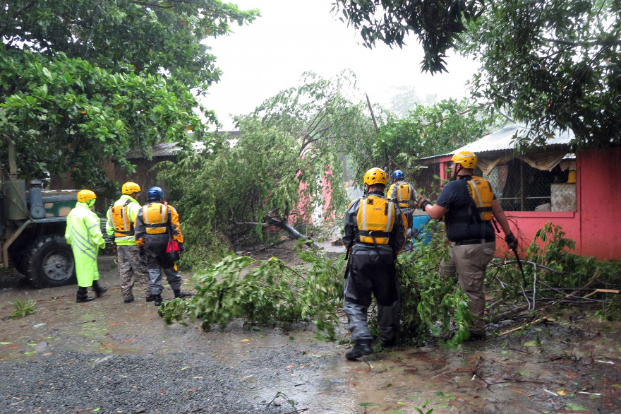 Des arbres en plein milieu de la route après le passage de l'ouragan Irma à Porto Rico