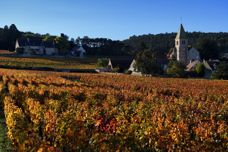 La production mondiale de vin est passée de 268,8 millions à 246,7 millions d'hectolitres selon la dernière estimation de l'OIV.