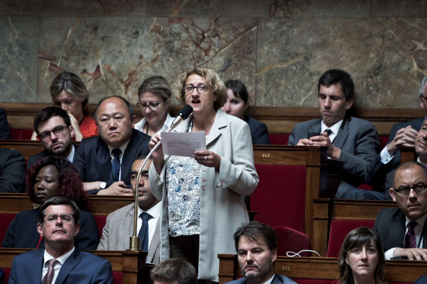 L'élection d'Isabelle Muller-Quoy, députée La République En Marche dans la 1ère circonscription du Val-d'Oise, a été annulée par le Conseil constitutionnel jeudi 16 novembre 2017.