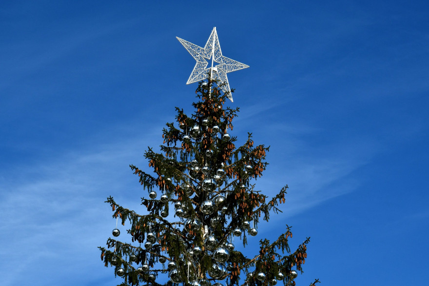 Un sapin de Noël (illustration)
