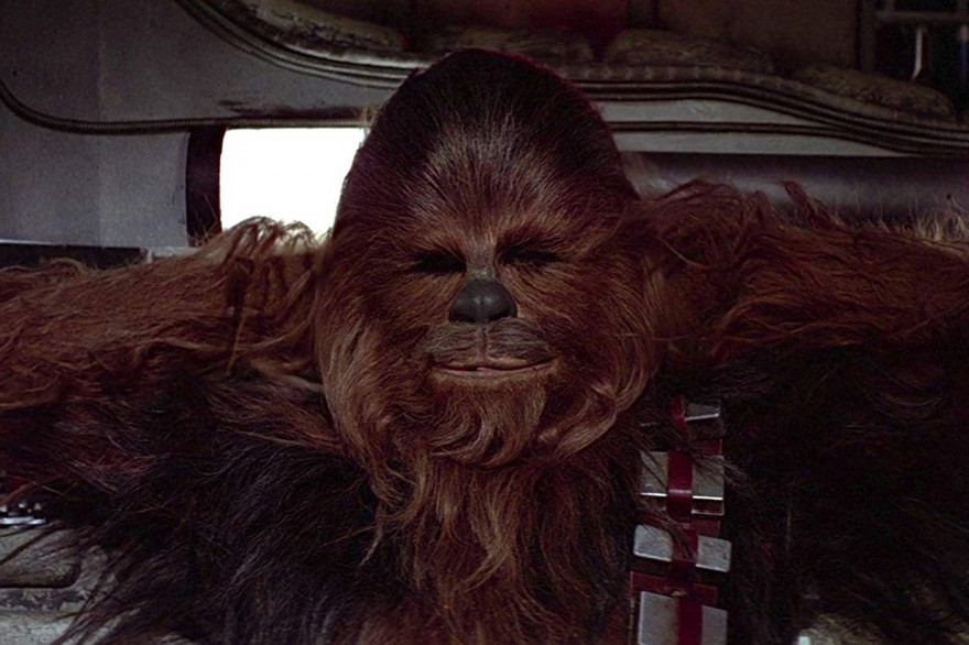 Chewbacca, dans le premier volet de "Star Wars" (1977), "Un nouvel espoir"
