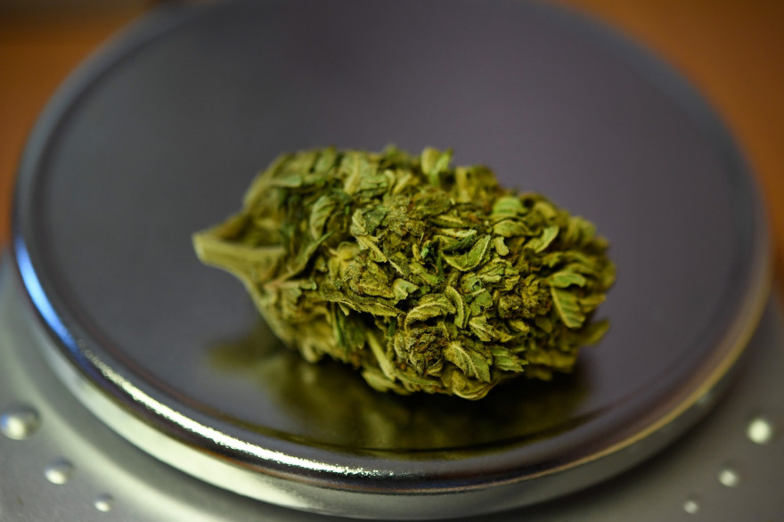 Cannabis (illustration)