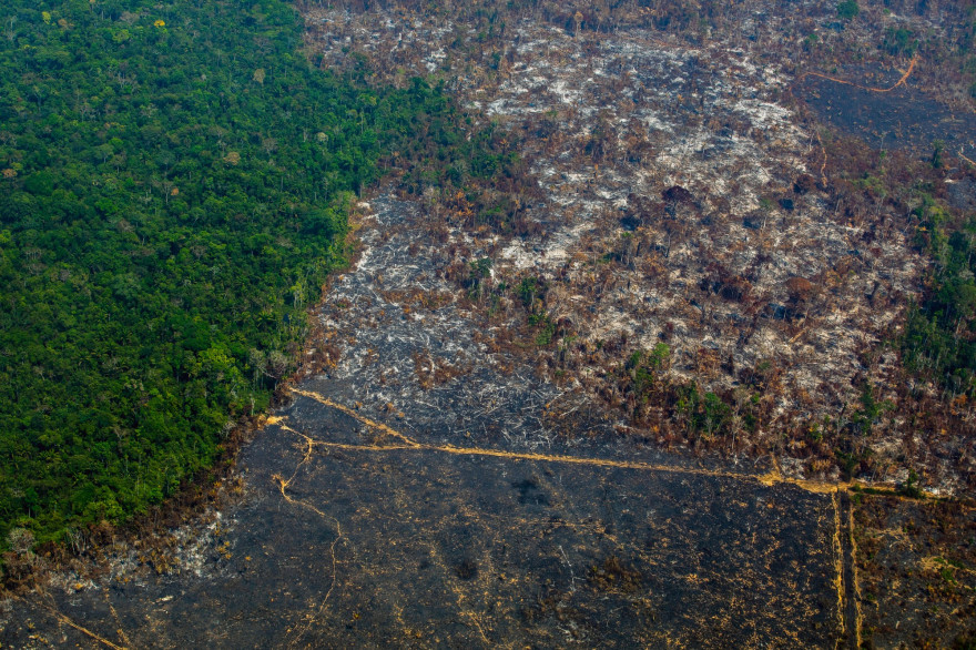 La déforestation de la forêt amazonienne à Altamira, Brésil, 2019 (illustration)
