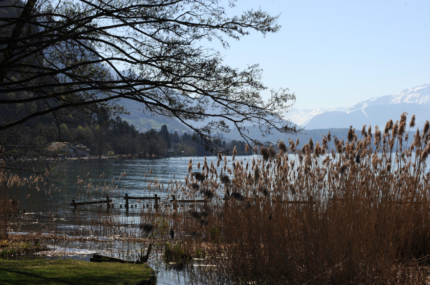 Lac d'Annecy (Illustration).