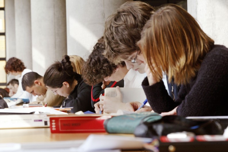Des étudiants à la bibliothèque (illustration)