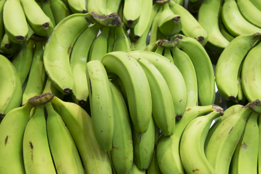 Le chlordécone a été utilisé pour traiter les plantations de bananes (illustration)