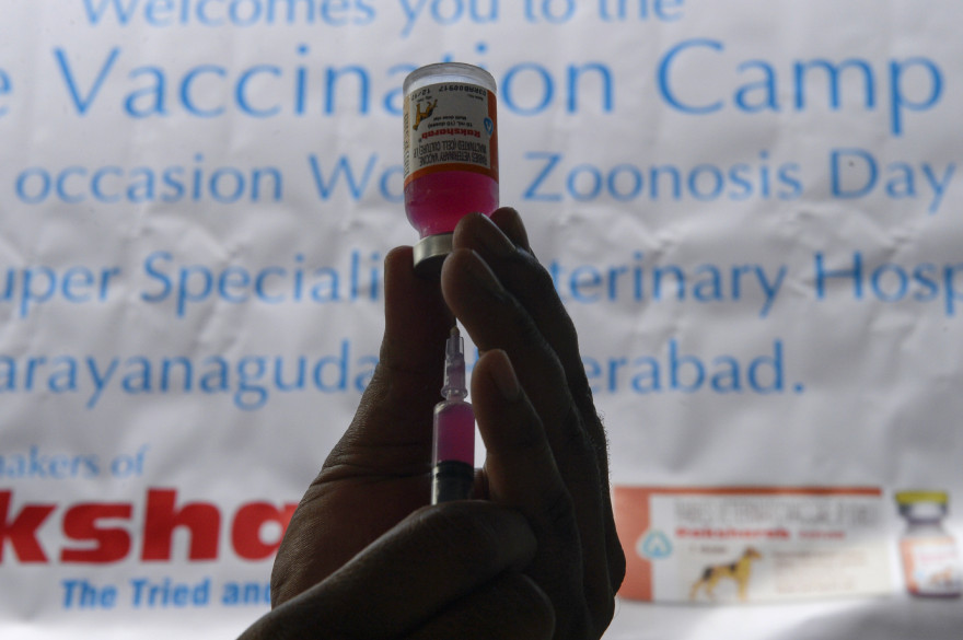 Un vaccin contre la rage dans un centre de vaccination (photo d'illustration)