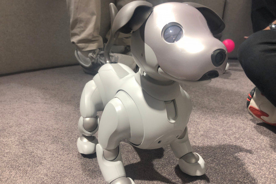 Le chien augmenté de Sony a été présenté à l'IFA