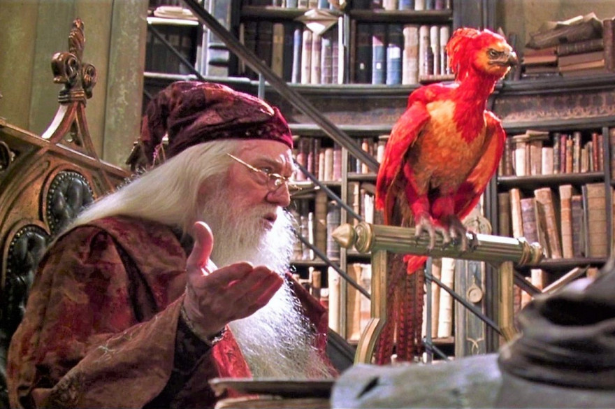 Dumbledore et Fumseck son phœnix