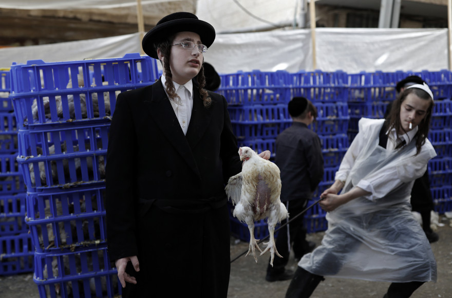 À la veille de Kippour, le jour le plus sacré du judaïsme, des milliers de juifs israéliens ont pratiqué lundi à Jérusalem le rite des "kapparot"