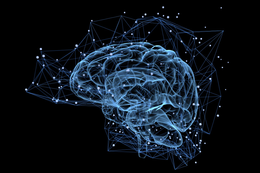 Une vue du cerveau (Illustration)