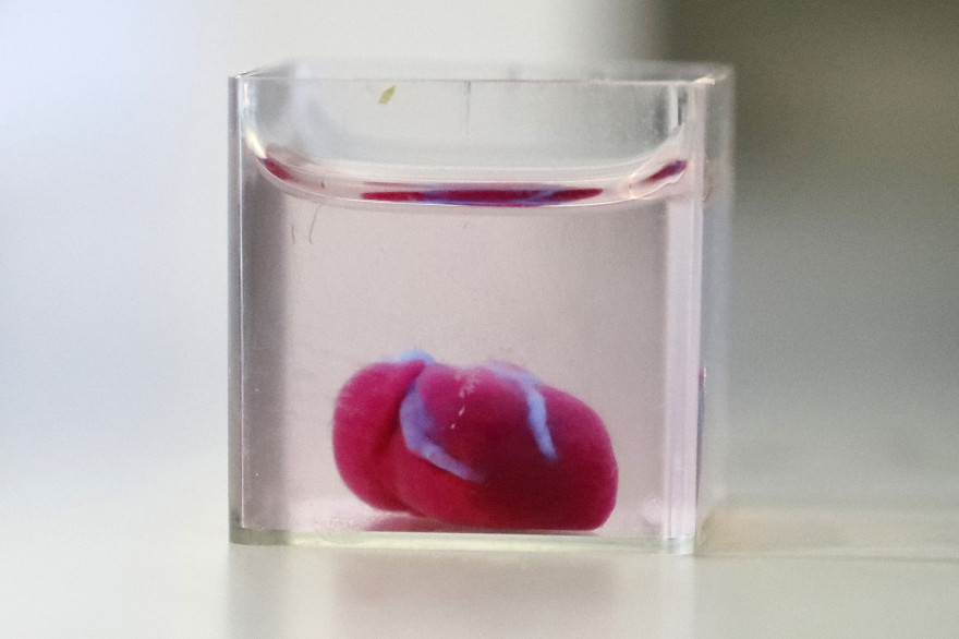 L'impression 3D pourrait rendre les greffes d'organes obsolètes.