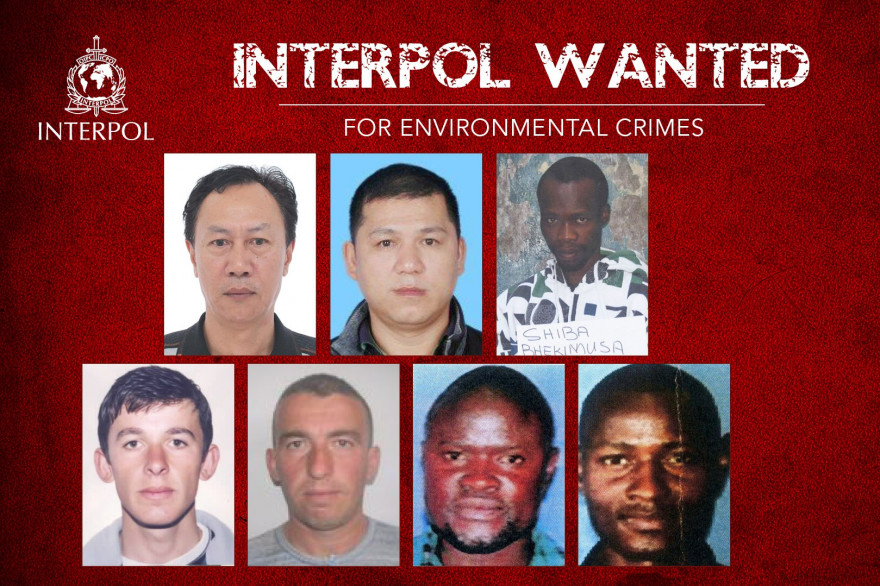 Interpol lance un appel public à témoins pour traquer ces 7 fugitifs, recherchés pour crime contre l'environnement.