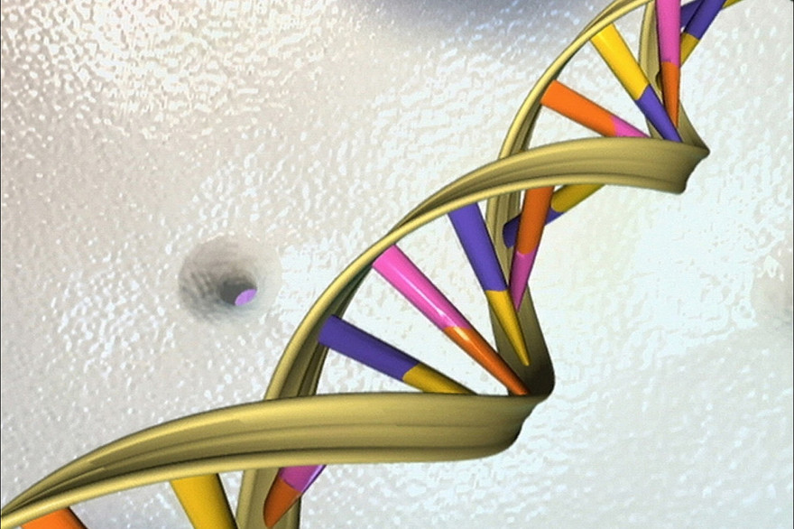 Une double hélice d'ADN (illustration)