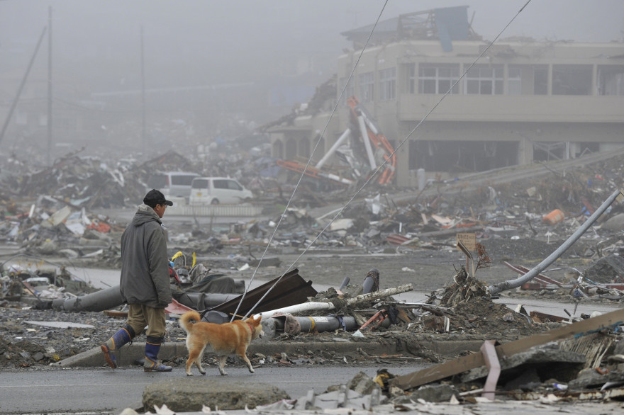 Un homme promène son chien devant les débris du tsunami à Minamisanriku (Japon), en avril 2011
