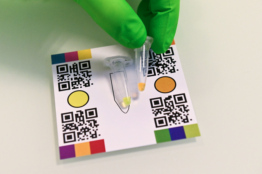 Un test salivaire EasyCov
