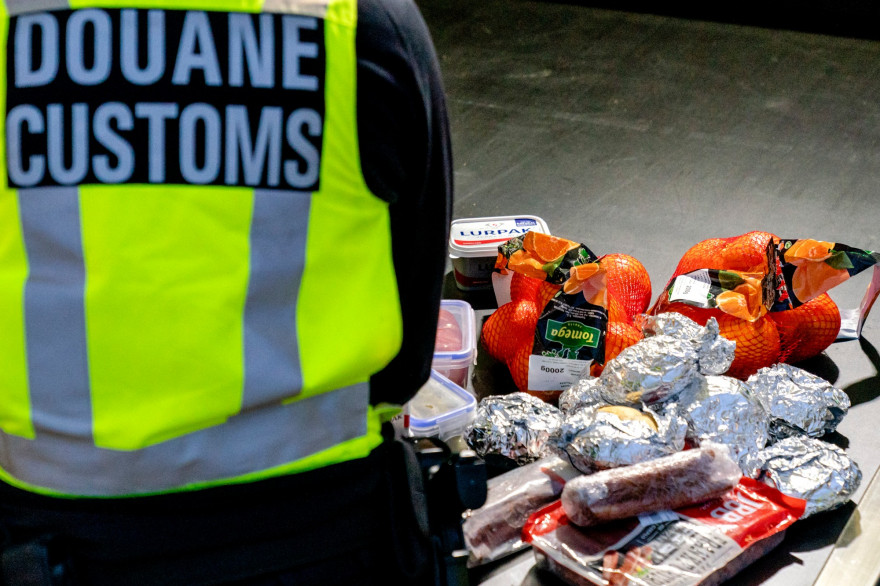 Un douanier néerlandais, le 6 janvier 2021