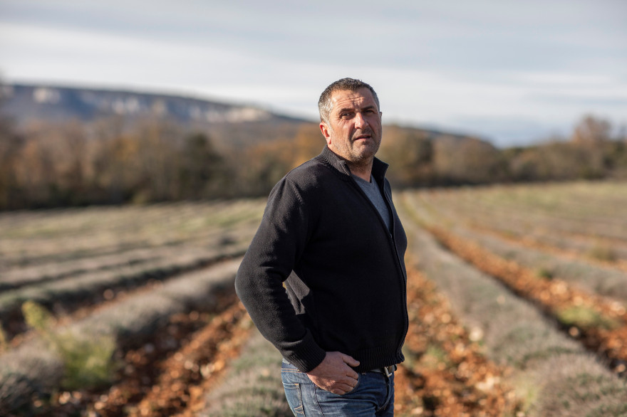 Sébastien 46 ans, lavandiculteur et éleveur de vaches en Auvergne-Rhône-Alpes