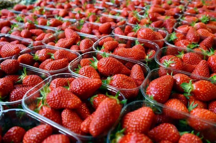 Des fraises (illustration)