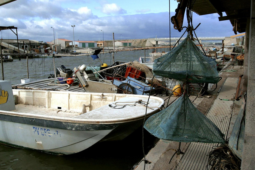Des bateaux d'ostréiculture (illustration)