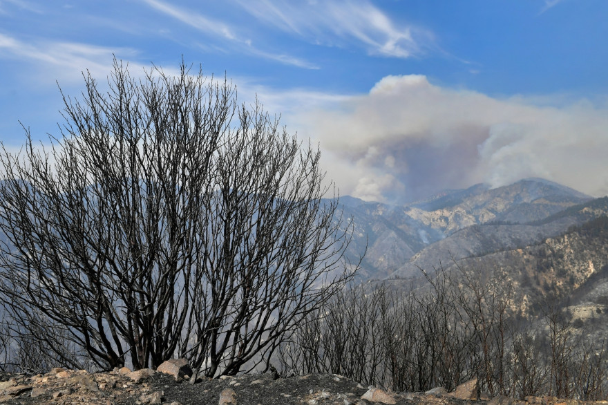 La forêt d'Angeles, en proie à de violents incendies
